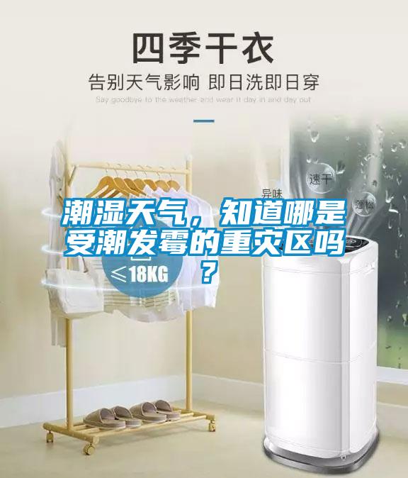 潮濕天氣，知道哪是受潮發(fā)霉的重災(zāi)區(qū)嗎？