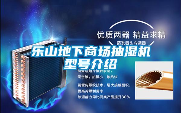 樂山地下商場(chǎng)抽濕機(jī)型號(hào)介紹