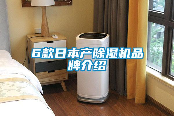 6款日本產(chǎn)除濕機品牌介紹