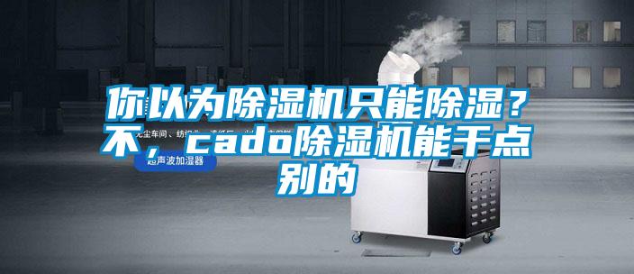 你以為除濕機只能除濕？不，cado除濕機能干點別的