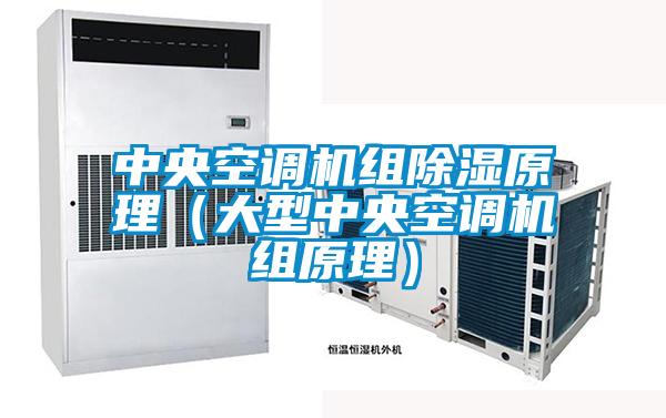 中央空調(diào)機組除濕原理（大型中央空調(diào)機組原理）
