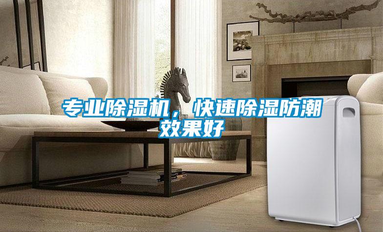 專業(yè)除濕機(jī)，快速除濕防潮效果好