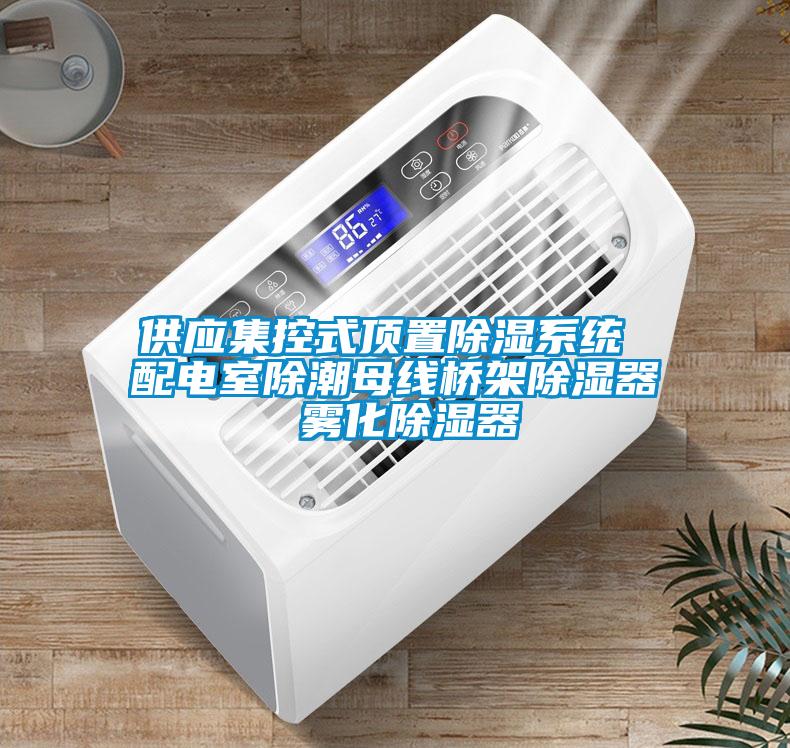 供應集控式頂置除濕系統(tǒng) 配電室除潮母線橋架除濕器 霧化除濕器