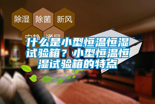什么是小型恒溫恒濕試驗(yàn)箱？小型恒溫恒濕試驗(yàn)箱的特點(diǎn)