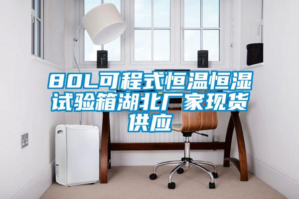 80L可程式恒溫恒濕試驗箱湖北廠家現(xiàn)貨供應