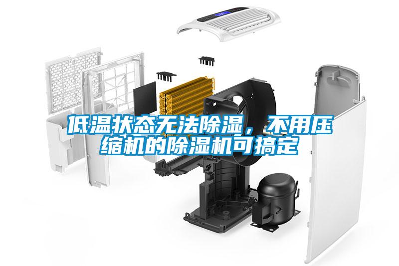 低溫狀態(tài)無(wú)法除濕，不用壓縮機(jī)的除濕機(jī)可搞定