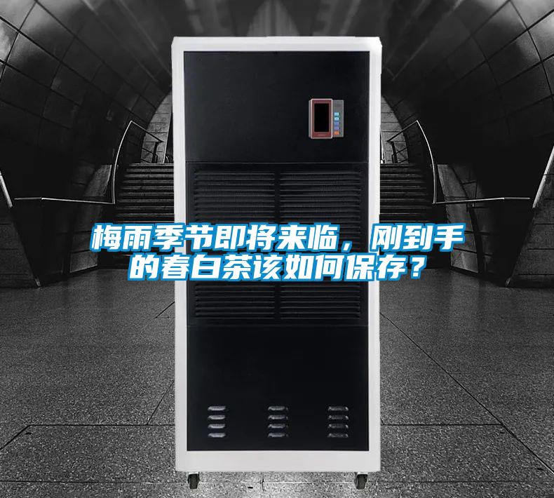 梅雨季節(jié)即將來(lái)臨，剛到手的春白茶該如何保存？