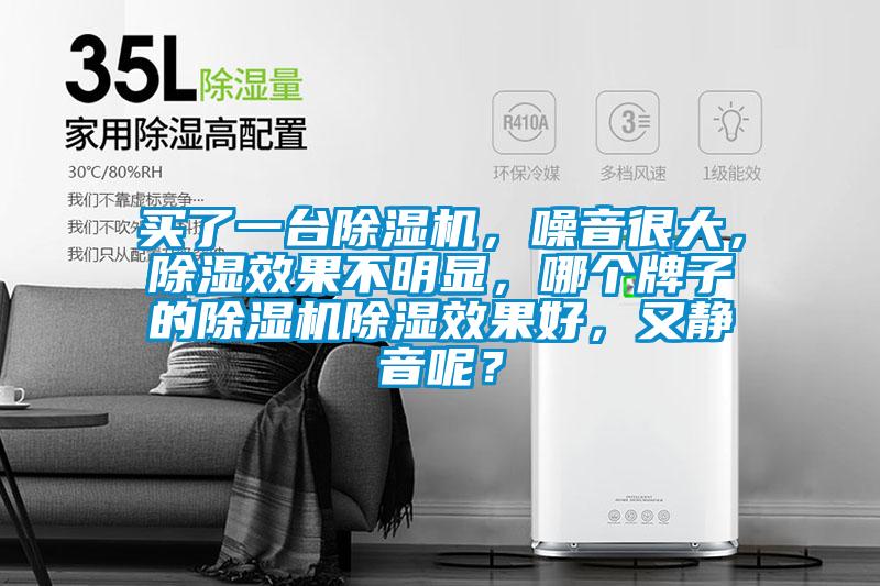 買了一臺除濕機，噪音很大，除濕效果不明顯，哪個牌子的除濕機除濕效果好，又靜音呢？