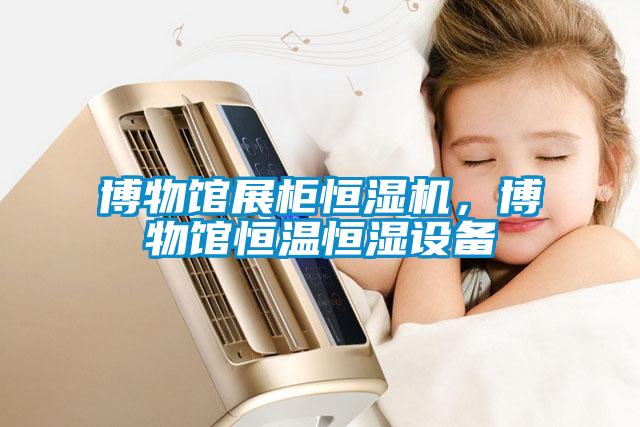 博物館展柜恒濕機，博物館恒溫恒濕設備