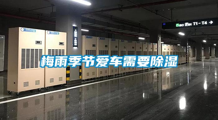 梅雨季節(jié)愛(ài)車(chē)需要除濕