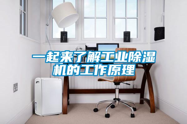 一起來了解工業(yè)除濕機(jī)的工作原理