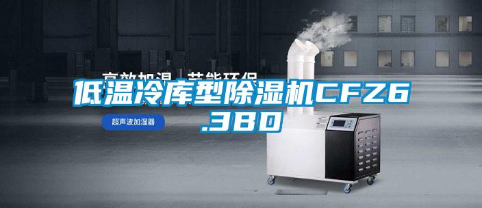 低溫冷庫(kù)型除濕機(jī)CFZ6.3BD