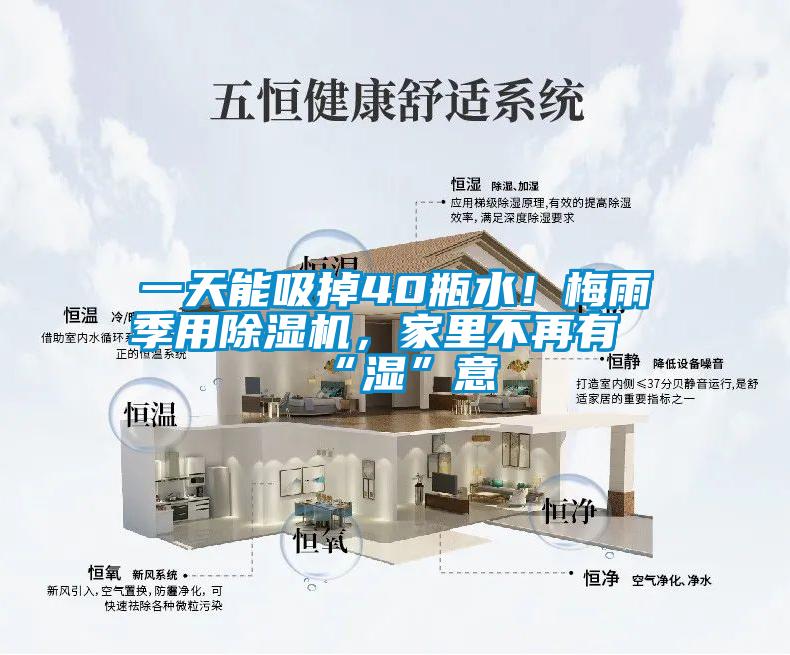 一天能吸掉40瓶水！梅雨季用除濕機，家里不再有“濕”意