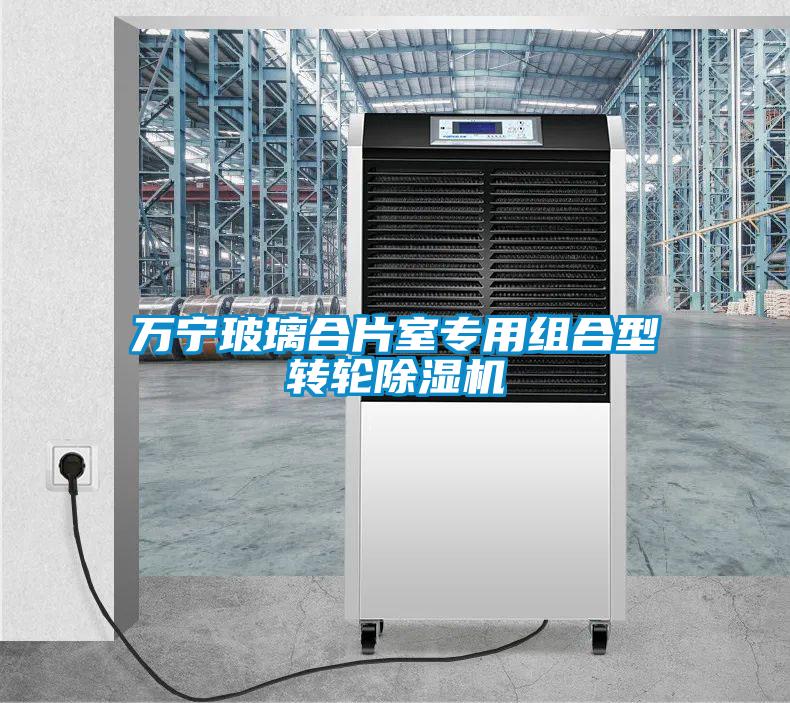 萬寧玻璃合片室專用組合型轉(zhuǎn)輪除濕機(jī)