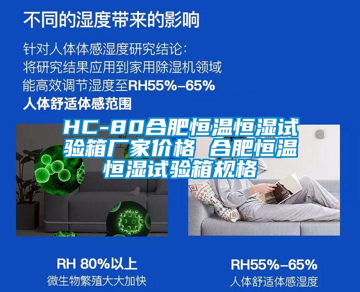 HC-80合肥恒溫恒濕試驗箱廠家價格 合肥恒溫恒濕試驗箱規(guī)格