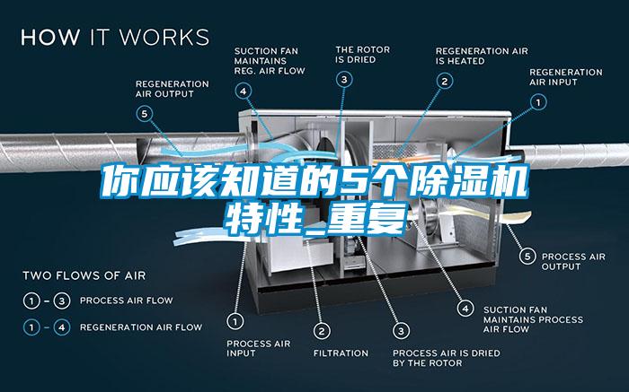 你應(yīng)該知道的5個除濕機特性_重復(fù)