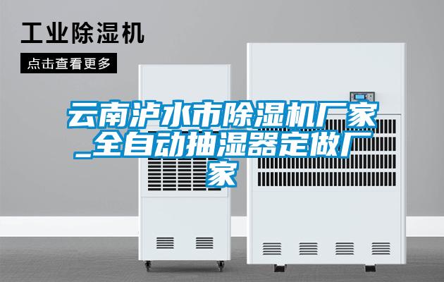 云南瀘水市除濕機(jī)廠家_全自動(dòng)抽濕器定做廠家