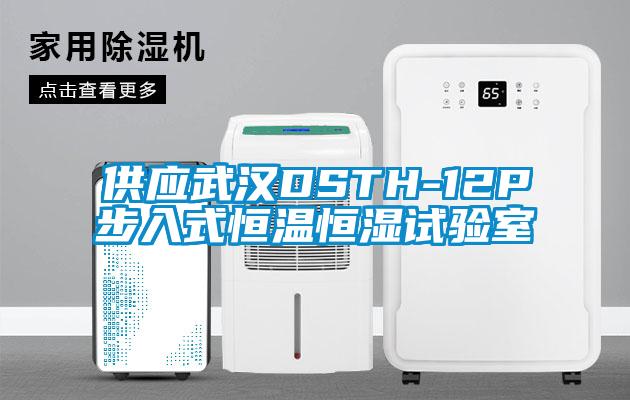 供應武漢DSTH-12P步入式恒溫恒濕試驗室