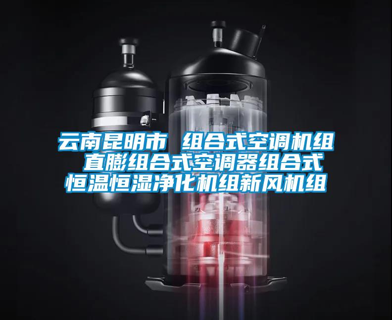 云南昆明市 組合式空調(diào)機組 直膨組合式空調(diào)器組合式恒溫恒濕凈化機組新風(fēng)機組