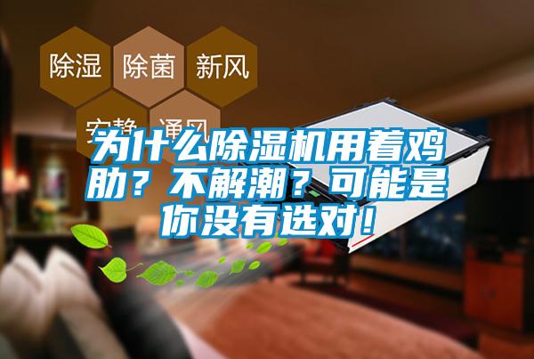 為什么除濕機(jī)用著雞肋？不解潮？可能是你沒(méi)有選對(duì)！