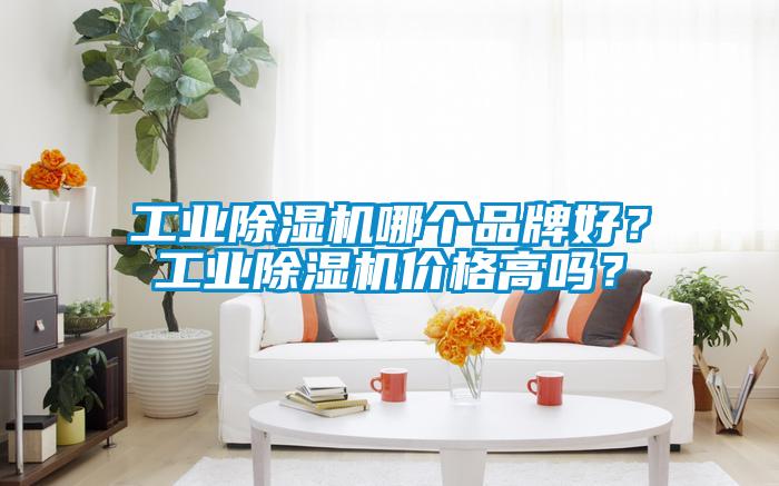 工業(yè)除濕機(jī)哪個(gè)品牌好？工業(yè)除濕機(jī)價(jià)格高嗎？
