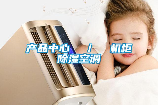 產(chǎn)品中心  ／  機(jī)柜除濕空調(diào)
