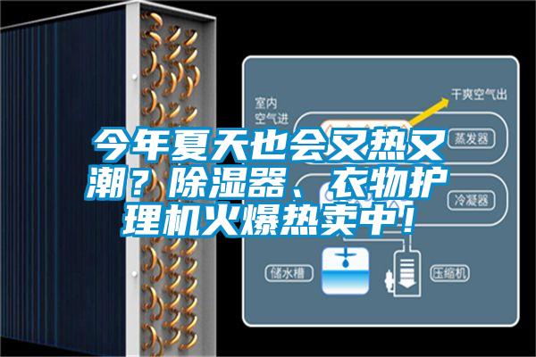 今年夏天也會又熱又潮？除濕器、衣物護理機火爆熱賣中！