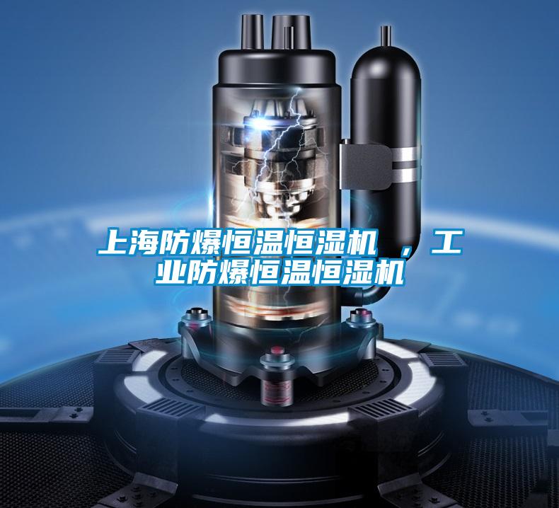 上海防爆恒溫恒濕機(jī) ，工業(yè)防爆恒溫恒濕機(jī)