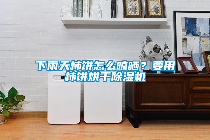 下雨天柿餅怎么晾曬？要用柿餅烘干除濕機