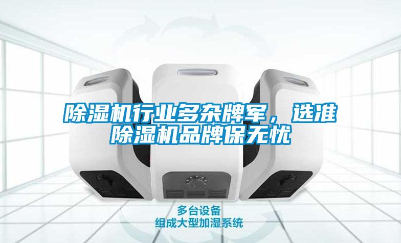 除濕機(jī)行業(yè)多雜牌軍，選準(zhǔn)除濕機(jī)品牌保無憂