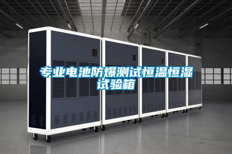 專(zhuān)業(yè)電池防爆測(cè)試恒溫恒濕試驗(yàn)箱