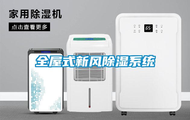 全屋式新風(fēng)除濕系統(tǒng)
