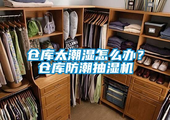 倉(cāng)庫(kù)太潮濕怎么辦？倉(cāng)庫(kù)防潮抽濕機(jī)