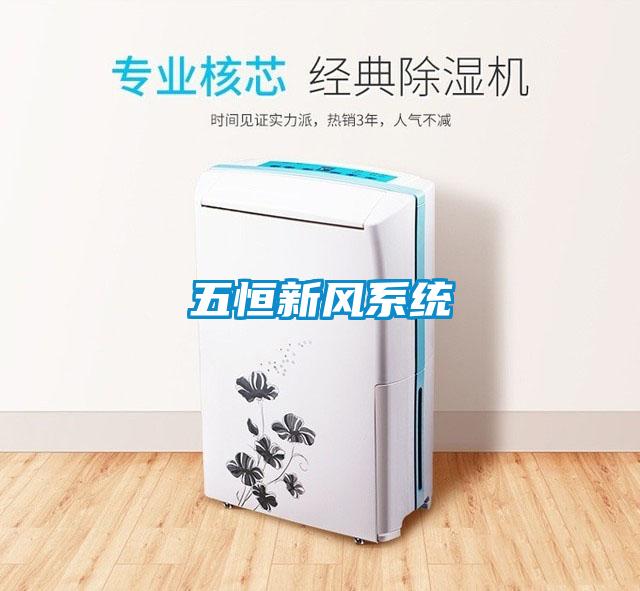 五恒新風(fēng)系統(tǒng)