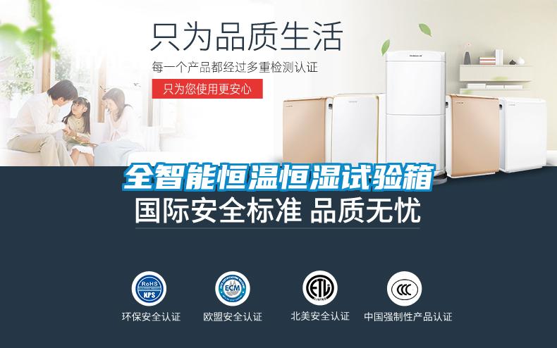 全智能恒溫恒濕試驗箱