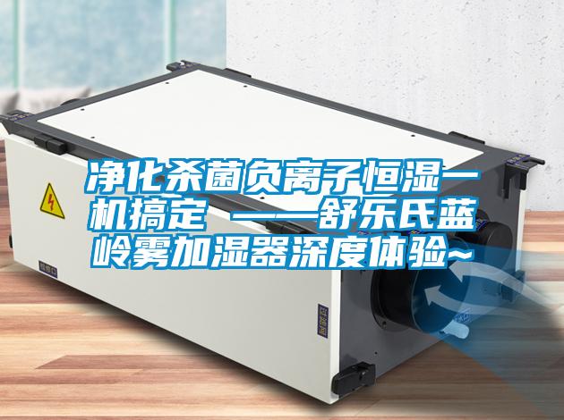 凈化殺菌負(fù)離子恒濕一機(jī)搞定 ——舒樂氏藍(lán)嶺霧加濕器深度體驗~