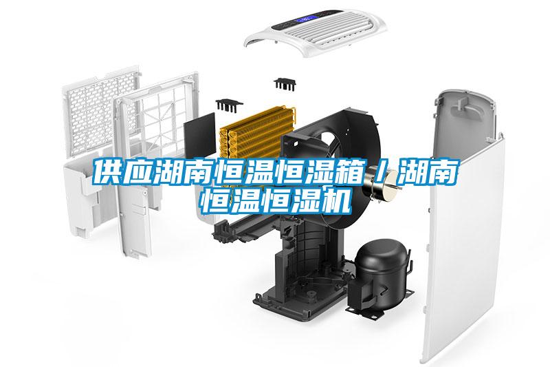 供應(yīng)湖南恒溫恒濕箱／湖南恒溫恒濕機