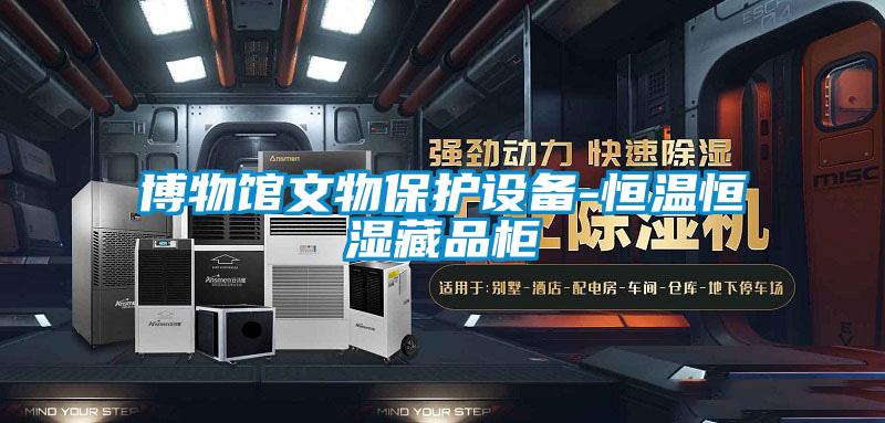 博物館文物保護設(shè)備-恒溫恒濕藏品柜