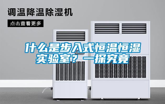 什么是步入式恒溫恒濕實(shí)驗(yàn)室？一探究竟