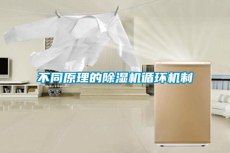 不同原理的除濕機(jī)循環(huán)機(jī)制