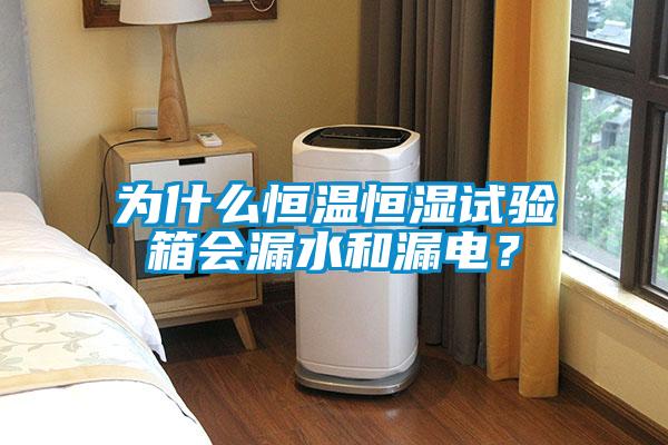 為什么恒溫恒濕試驗(yàn)箱會(huì)漏水和漏電？
