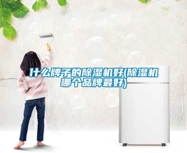 什么牌子的除濕機(jī)好(除濕機(jī)哪個品牌最好)