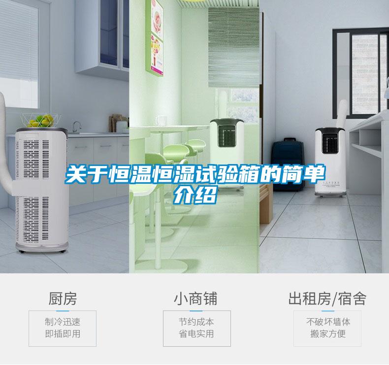 關于恒溫恒濕試驗箱的簡單介紹