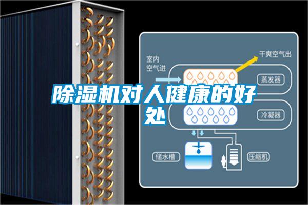 除濕機(jī)對(duì)人健康的好處