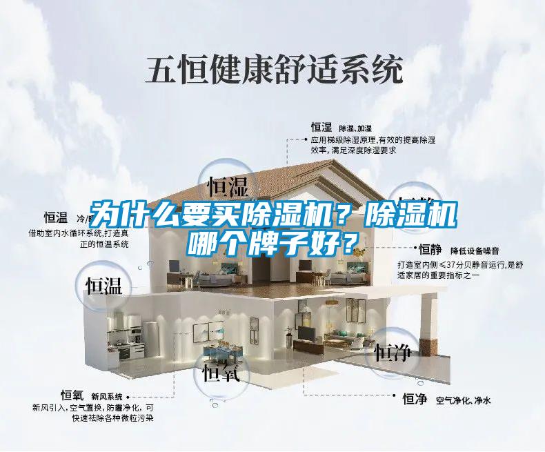 為什么要買除濕機(jī)？除濕機(jī)哪個(gè)牌子好？