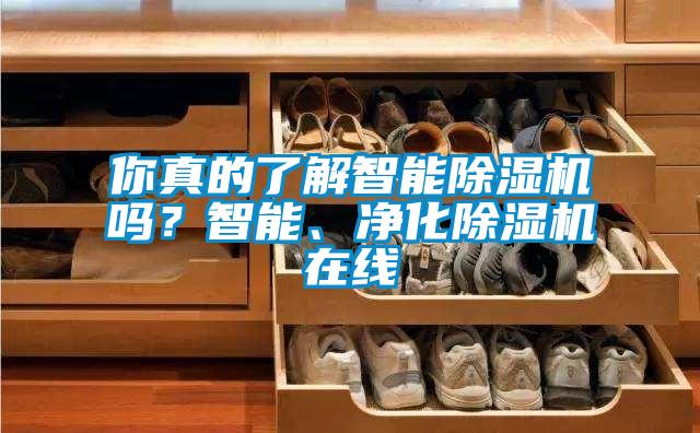 你真的了解智能除濕機嗎？智能、凈化除濕機在線