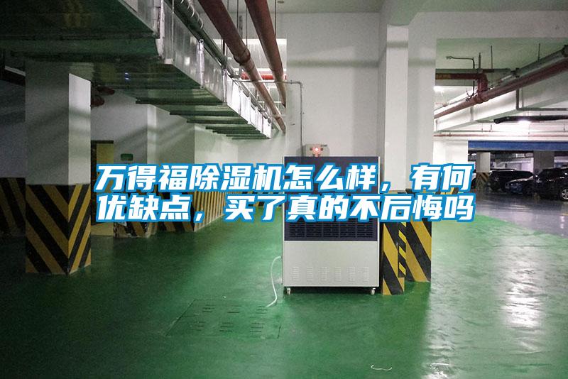 萬得福除濕機怎么樣，有何優(yōu)缺點，買了真的不后悔嗎