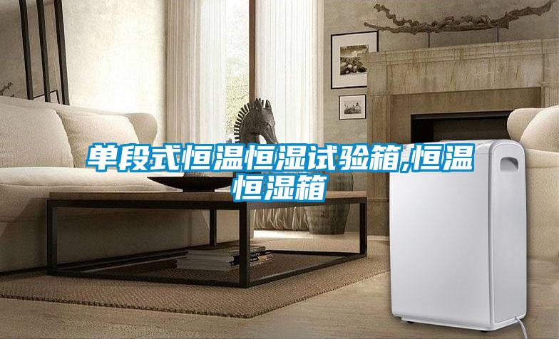 單段式恒溫恒濕試驗箱,恒溫恒濕箱