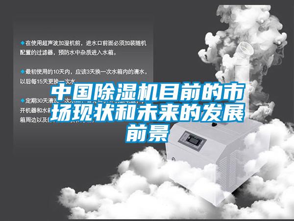 中國除濕機(jī)目前的市場現(xiàn)狀和未來的發(fā)展前景