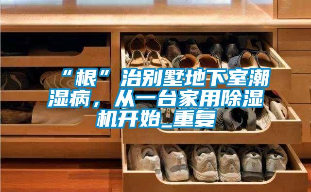 “根”治別墅地下室潮濕病，從一臺(tái)家用除濕機(jī)開始_重復(fù)